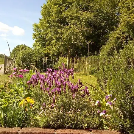 L'app'art Des Ateliers Gerny Bed & Breakfast Humain