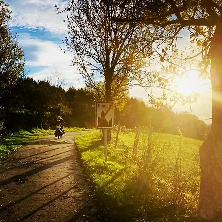 L'app'art Des Ateliers Gerny Bed & Breakfast 4*